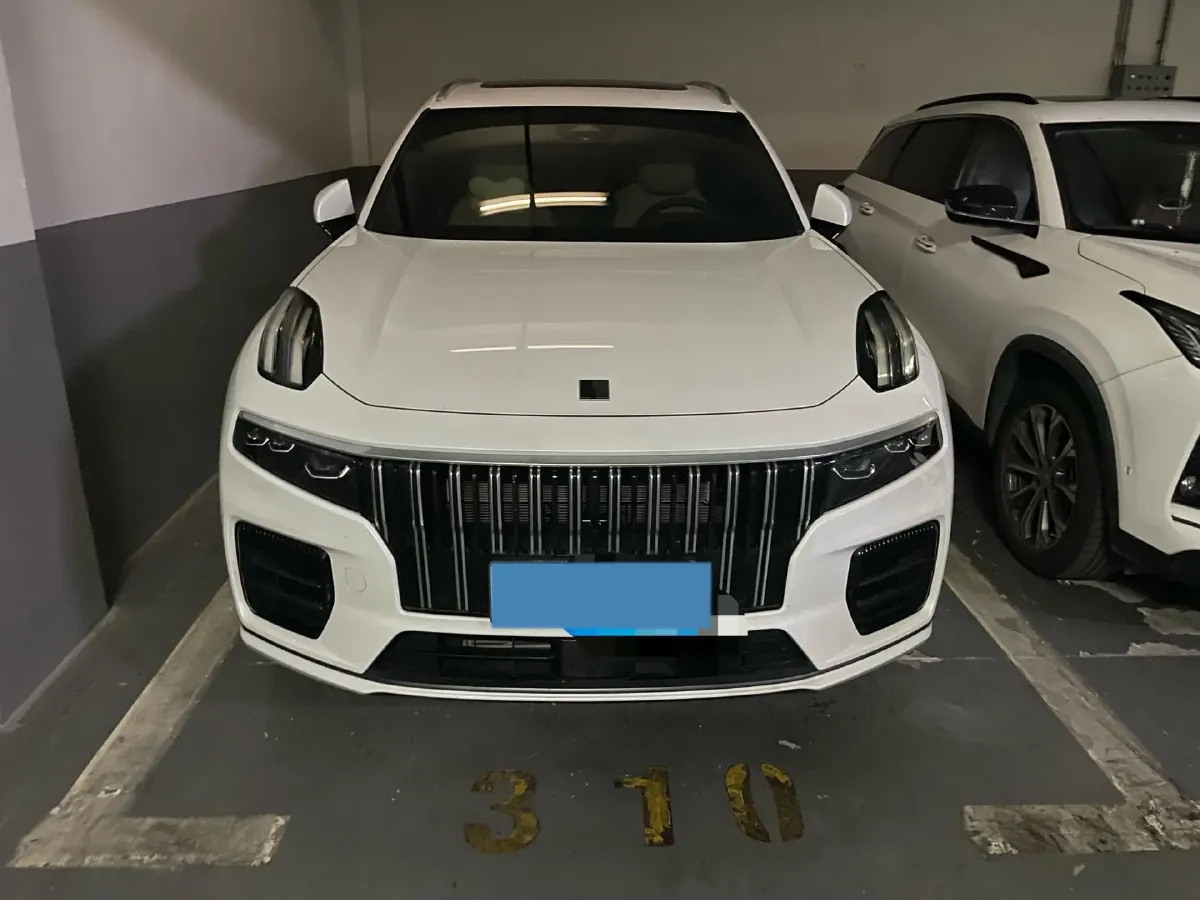 2024 LYNK&CO 09 2.0T 254HP L4 8AT,autocango,china used car exporter,china ev exporter,chinese used car exporter,chinese used ev exporter
