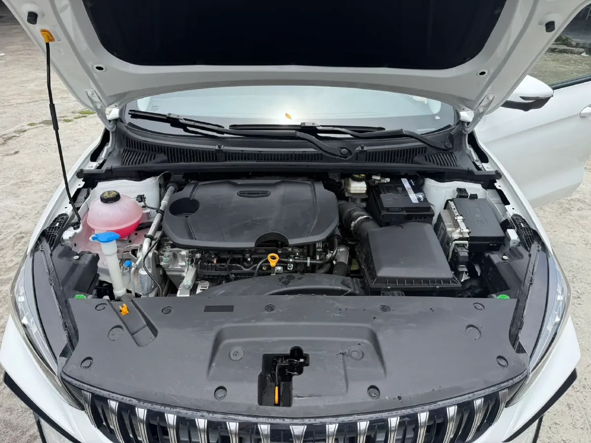 2024 Geely Binray 1.5T 181HP L4 7DCT,autocango,china used car exporter,china ev exporter,chinese used car exporter,chinese used ev exporter
