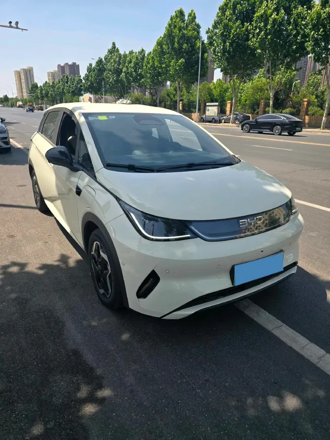 2025 BYD Dolphin BEV 45.12KWH,autocango,china used car exporter,china ev exporter,chinese used car exporter,chinese used ev exporter