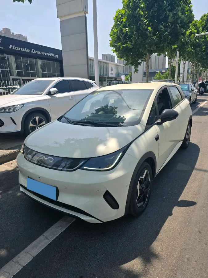2025 BYD Dolphin BEV 45.12KWH,autocango,china used car exporter,china ev exporter,chinese used car exporter,chinese used ev exporter