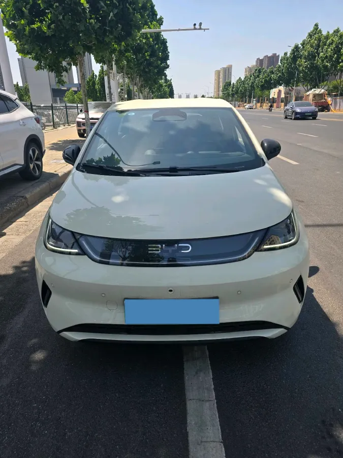 2025 BYD Dolphin BEV 45.12KWH,autocango,china used car exporter,china ev exporter,chinese used car exporter,chinese used ev exporter
