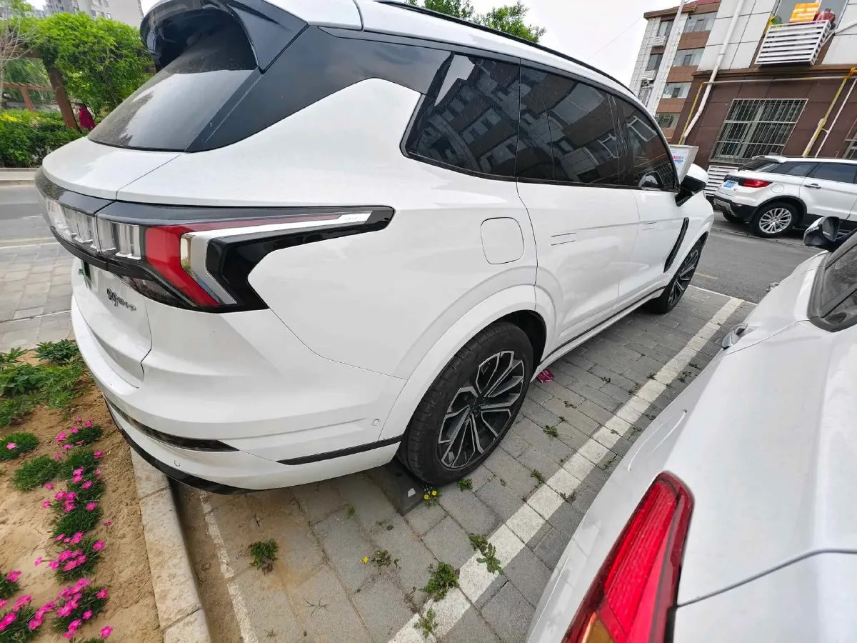 2024 LYNK&CO 09 EM-P 2.0T 254HP L4 3DHT PHEV 40.1KWH,autocango,china used car exporter,china ev exporter,chinese used car exporter,chinese used ev exporter