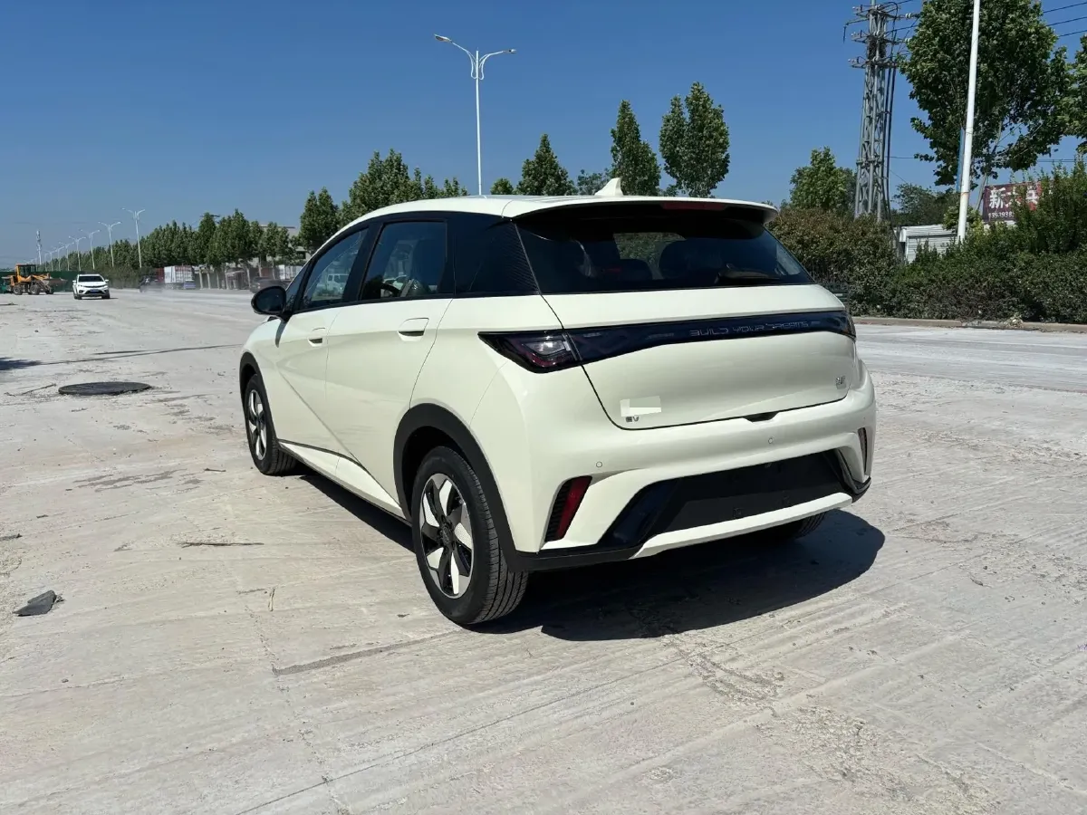 2025 BYD Dolphin BEV 44.928KWH,autocango,china used car exporter,china ev exporter,chinese used car exporter,chinese used ev exporter
