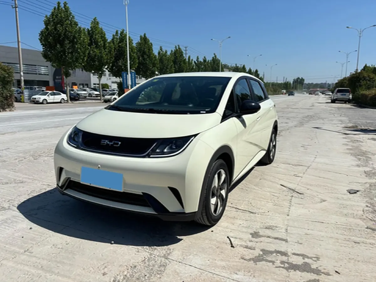 2025 BYD Dolphin BEV 44.928KWH,autocango,china used car exporter,china ev exporter,chinese used car exporter,chinese used ev exporter