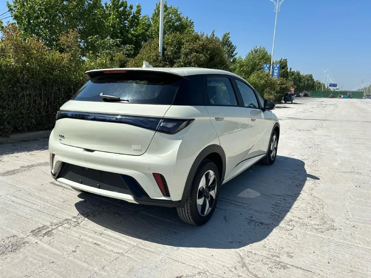 2025 BYD Dolphin BEV 44.928KWH,autocango,china used car exporter,china ev exporter,chinese used car exporter,chinese used ev exporter