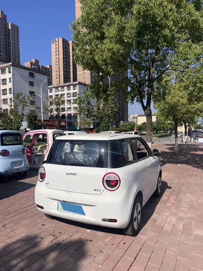 2026 ChangAn QiYuan Lumin BEV,autocango,china used car exporter,china ev exporter,chinese used car exporter,chinese used ev exporter