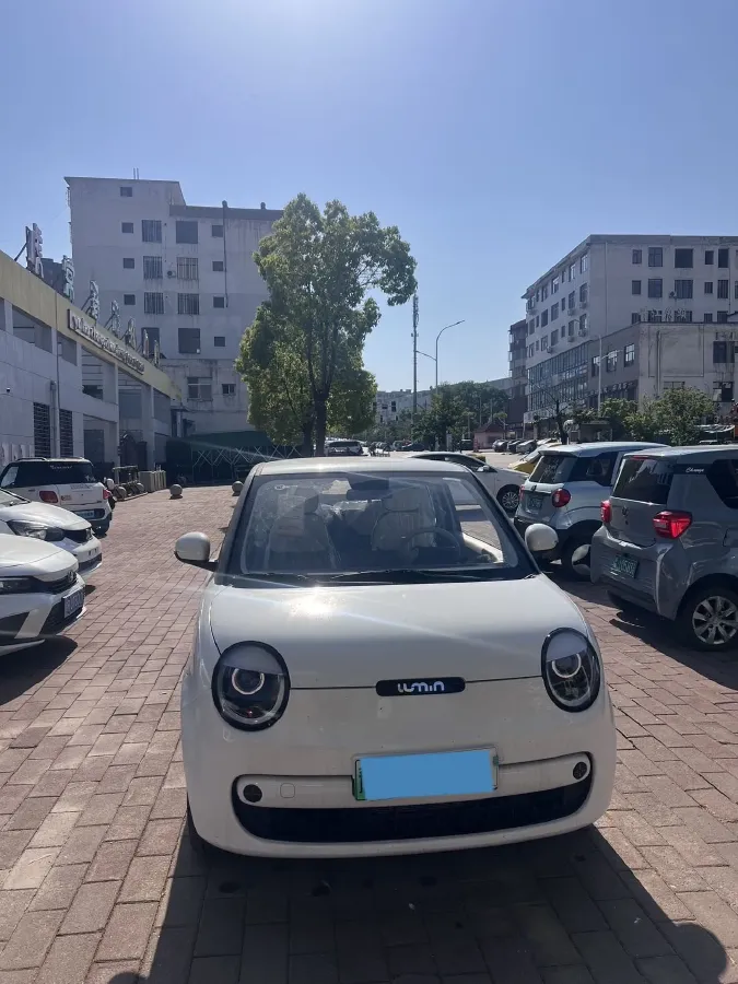 2026 ChangAn QiYuan Lumin BEV,autocango,china used car exporter,china ev exporter,chinese used car exporter,chinese used ev exporter