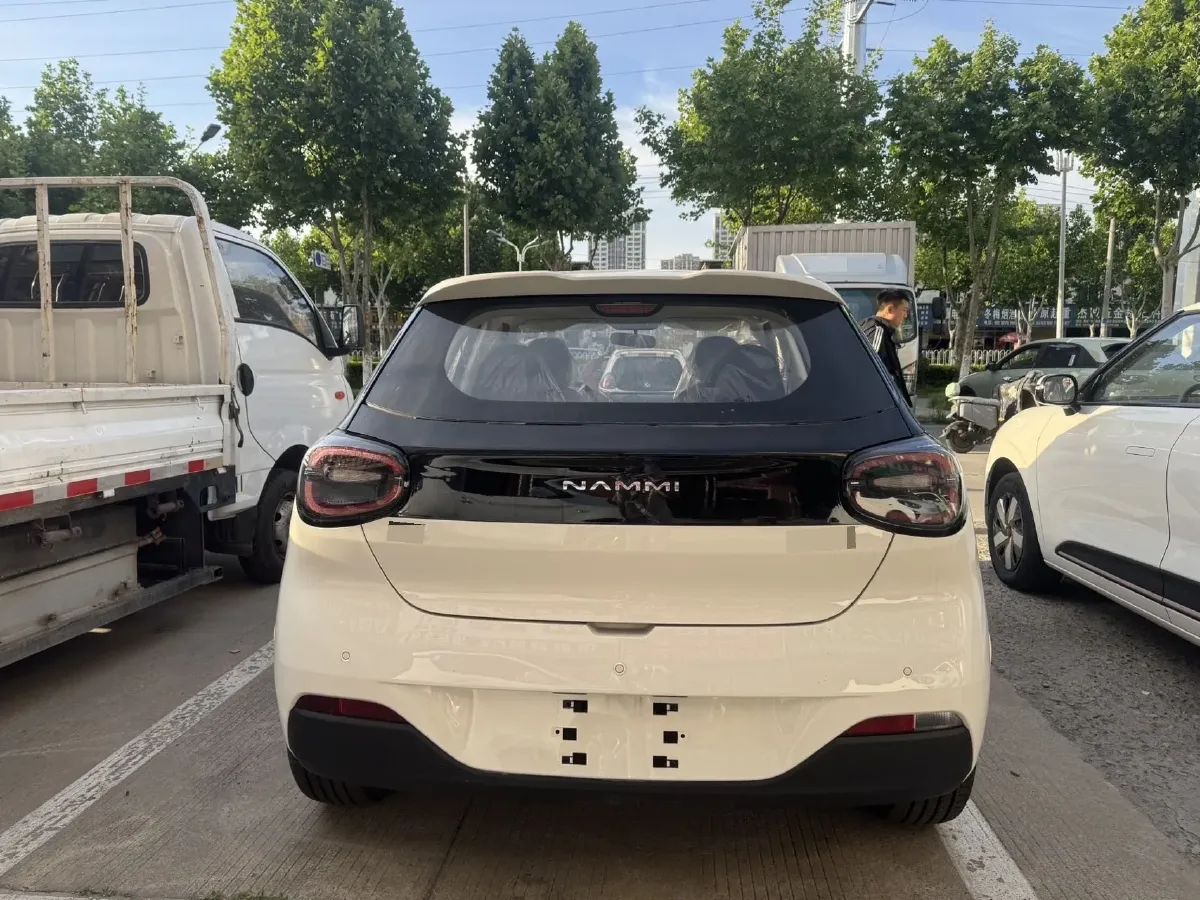 2025 DongFeng Nammi 01 BEV,autocango,china used car exporter,china ev exporter,chinese used car exporter,chinese used ev exporter