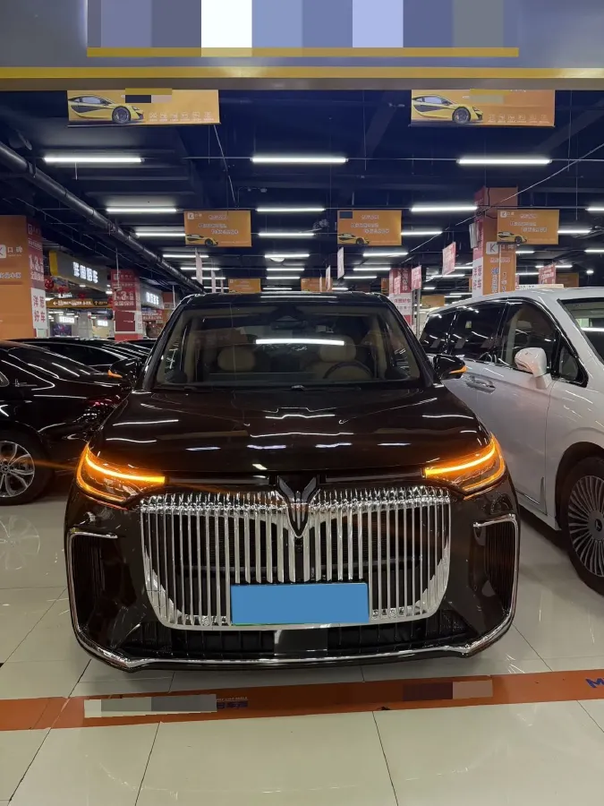 2025 Voyah Dream BEV 108.7KWH,autocango,china used car exporter,china ev exporter,chinese used car exporter,chinese used ev exporter