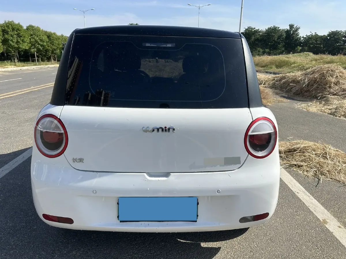 2024 ChangAn QiYuan Lumin BEV 17.65KWH,autocango,china used car exporter,china ev exporter,chinese used car exporter,chinese used ev exporter