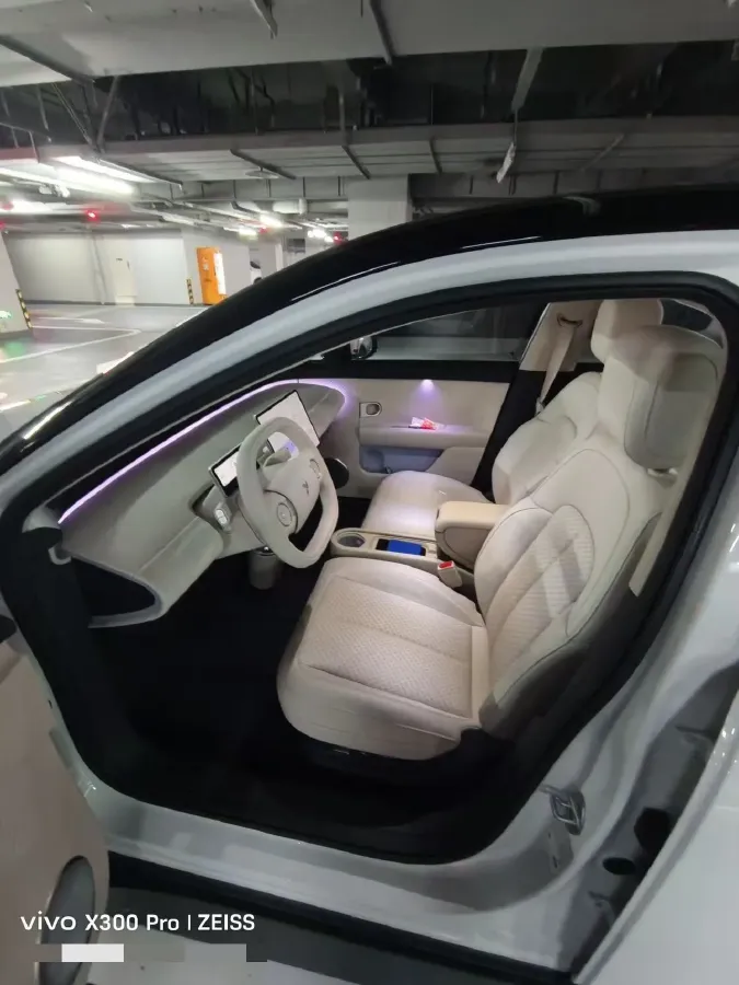 2025 Firefly Firefly BEV,autocango,china used car exporter,china ev exporter,chinese used car exporter,chinese used ev exporter