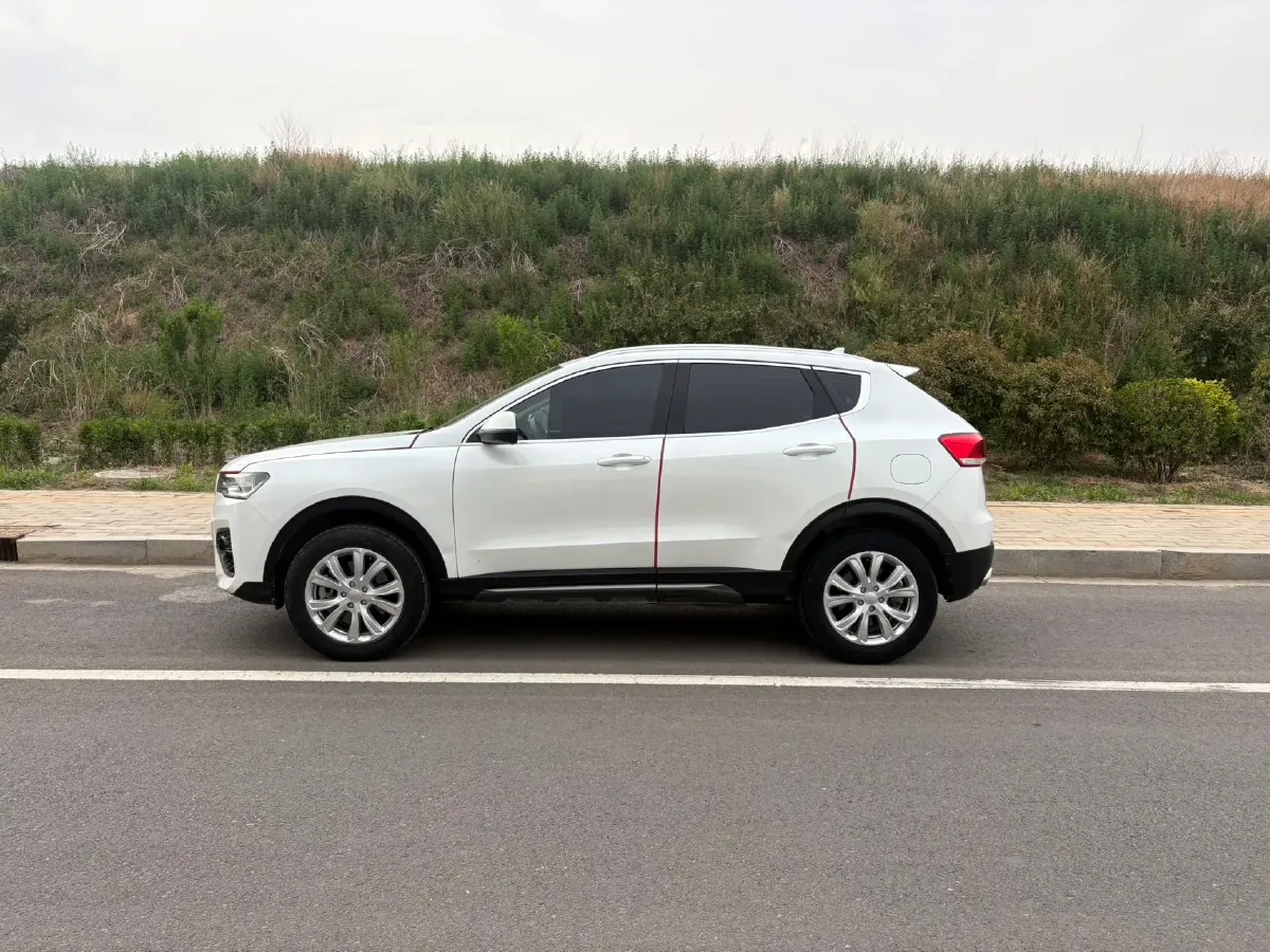 2019 Haval H4 1.5T 169HP L4 6MT,autocango,china used car exporter,china ev exporter,chinese used car exporter,chinese used ev exporter