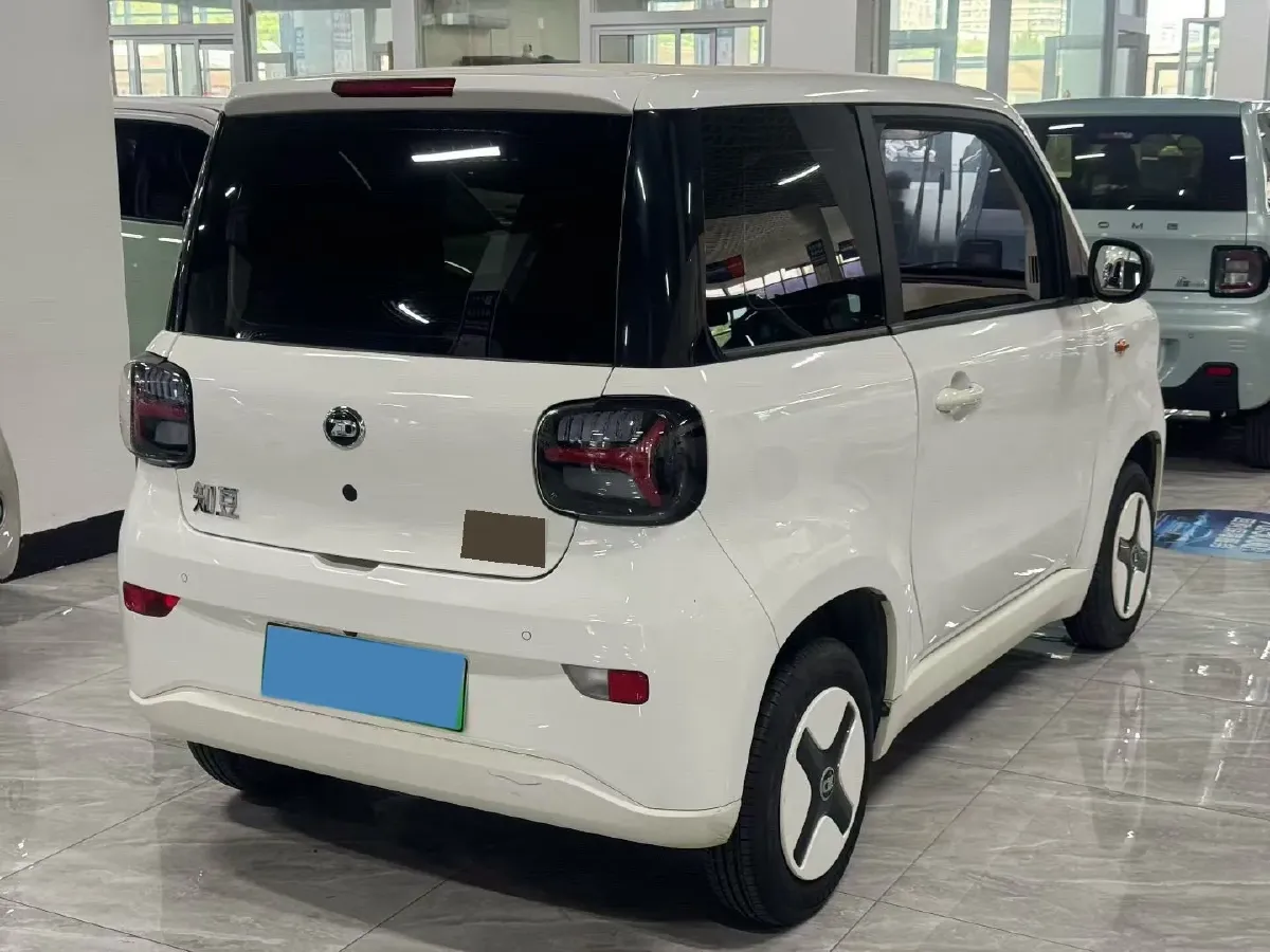 2024 ZD Rainbow BEV 17.3KWH,autocango,china used car exporter,china ev exporter,chinese used car exporter,chinese used ev exporter