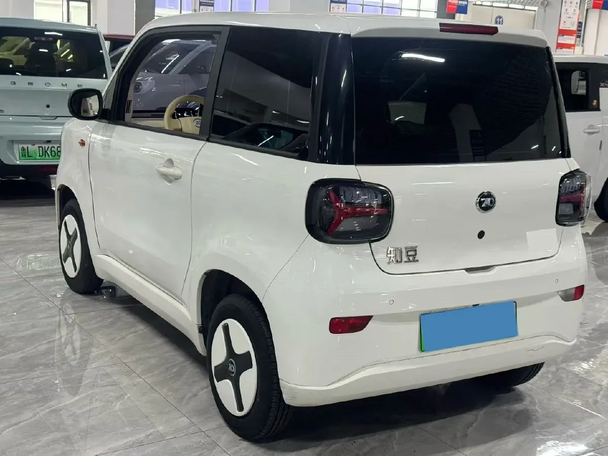 2024 ZD Rainbow BEV 17.3KWH,autocango,china used car exporter,china ev exporter,chinese used car exporter,chinese used ev exporter