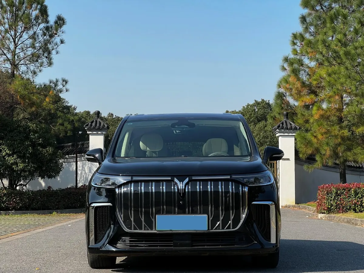 2022 Voyah Dream BEV 108.7KWH,autocango,china used car exporter,china ev exporter,chinese used car exporter,chinese used ev exporter