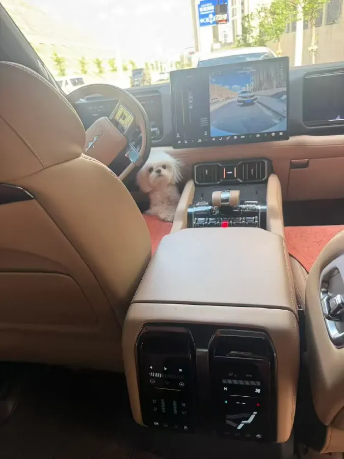2025 FangChengBao Bao 8 2.0T 245HP L4 E-CVT PHEV 36.8KWH,autocango,china used car exporter,china ev exporter,chinese used car exporter,chinese used ev exporter