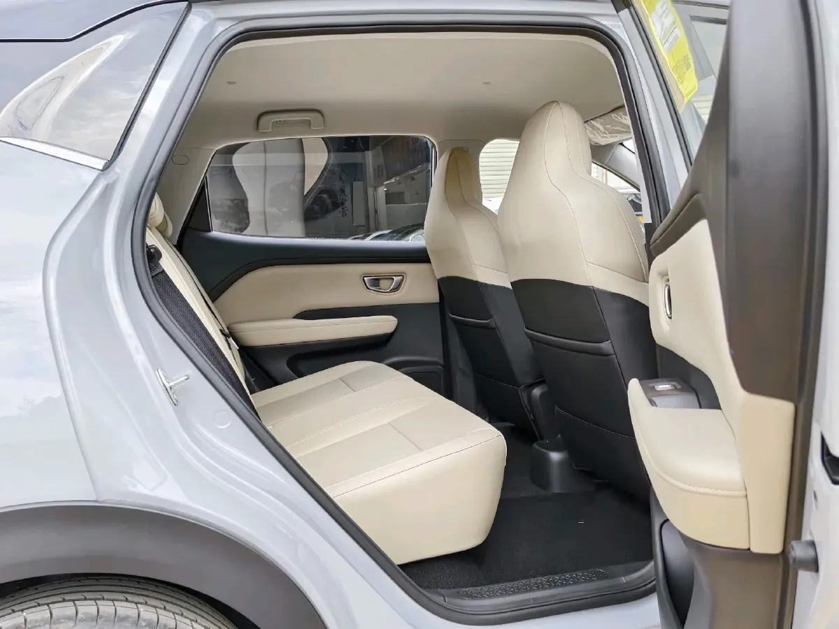 2024 WuLing BinGuoPLUS BEV 50.6KWH,autocango,china used car exporter,china ev exporter,chinese used car exporter,chinese used ev exporter