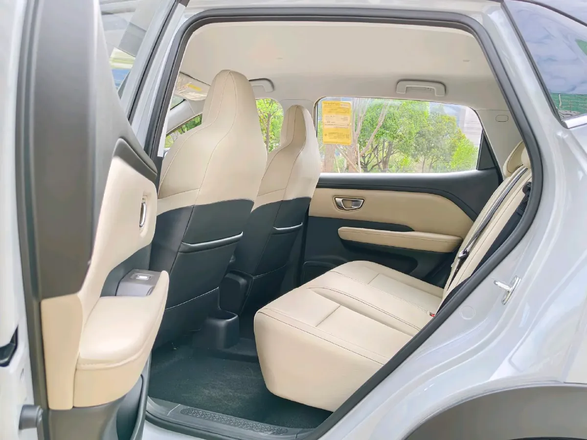 2024 WuLing BinGuoPLUS BEV 50.6KWH,autocango,china used car exporter,china ev exporter,chinese used car exporter,chinese used ev exporter