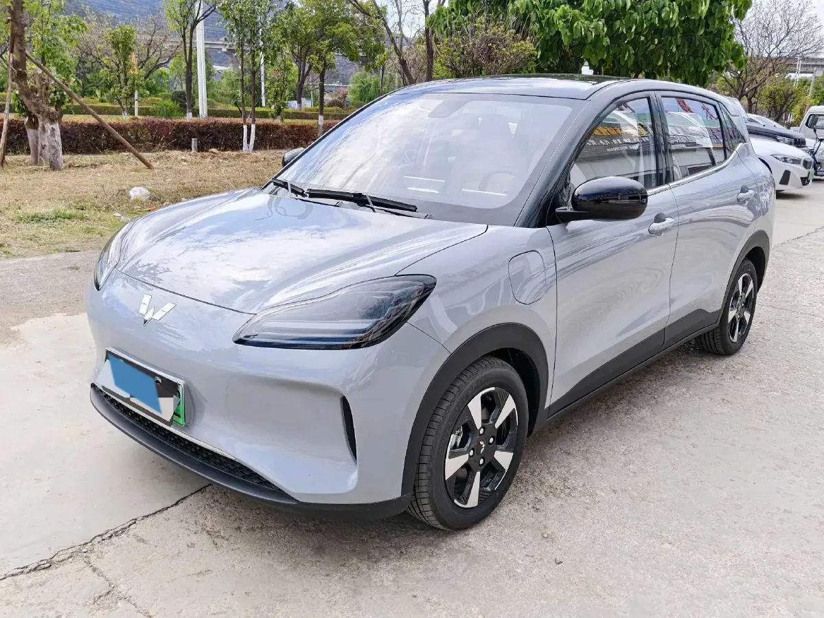 2024 WuLing BinGuoPLUS BEV 50.6KWH,autocango,china used car exporter,china ev exporter,chinese used car exporter,chinese used ev exporter