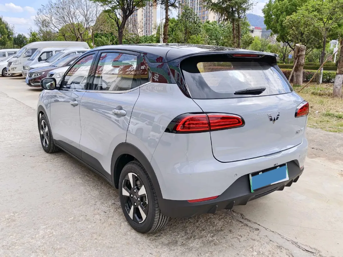 2024 WuLing BinGuoPLUS BEV 50.6KWH,autocango,china used car exporter,china ev exporter,chinese used car exporter,chinese used ev exporter