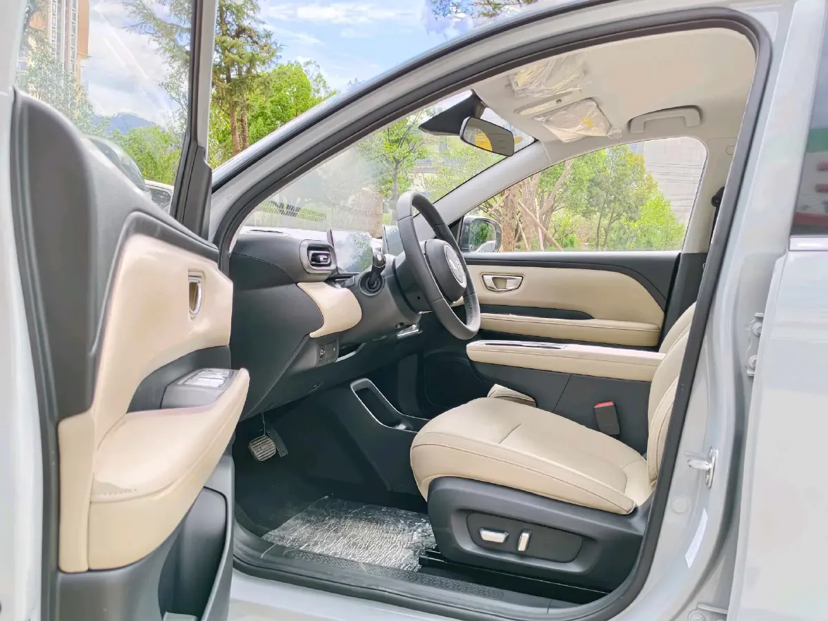 2024 WuLing BinGuoPLUS BEV 50.6KWH,autocango,china used car exporter,china ev exporter,chinese used car exporter,chinese used ev exporter