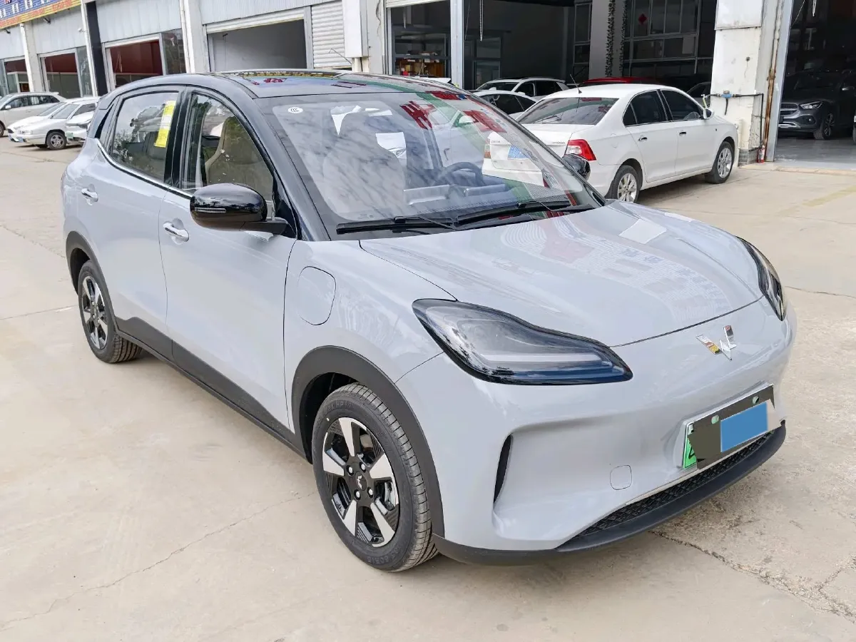 2024 WuLing BinGuoPLUS BEV 50.6KWH,autocango,china used car exporter,china ev exporter,chinese used car exporter,chinese used ev exporter
