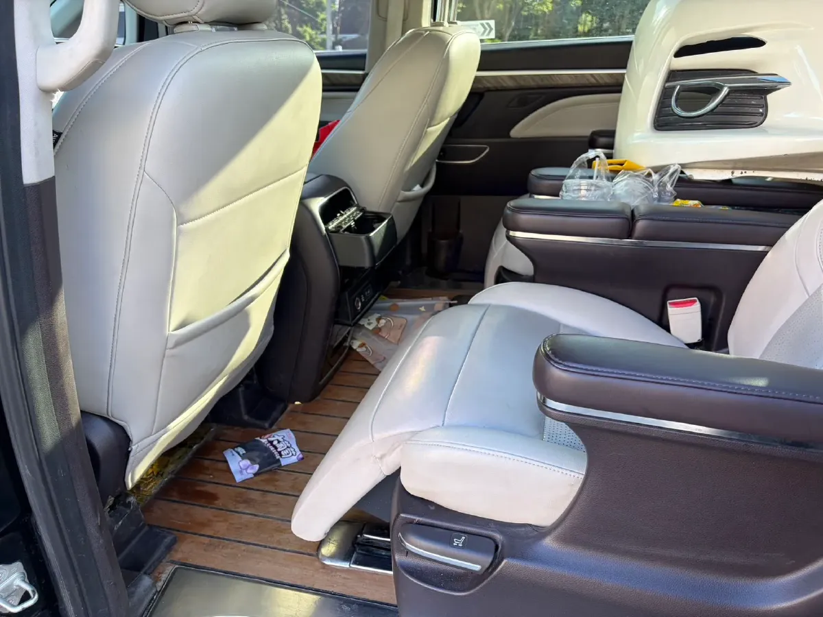 2021 GAC Trumpchi M8 2.0T 252HP L4 8AT,autocango,china used car exporter,china ev exporter,chinese used car exporter,chinese used ev exporter
