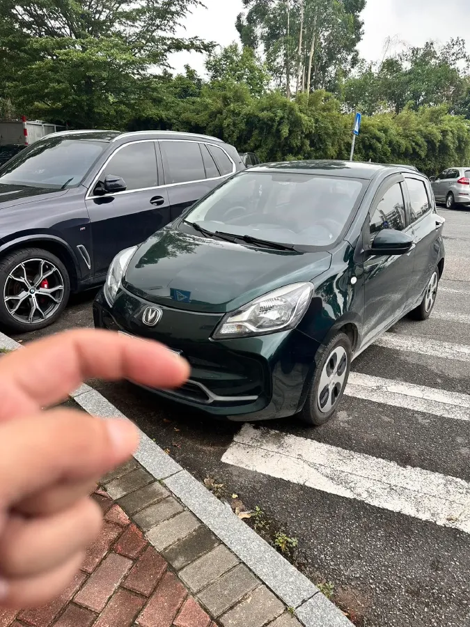 2021 ChangAn BenBen E-Star BEV 31.95KWH,autocango,china used car exporter,china ev exporter,chinese used car exporter,chinese used ev exporter