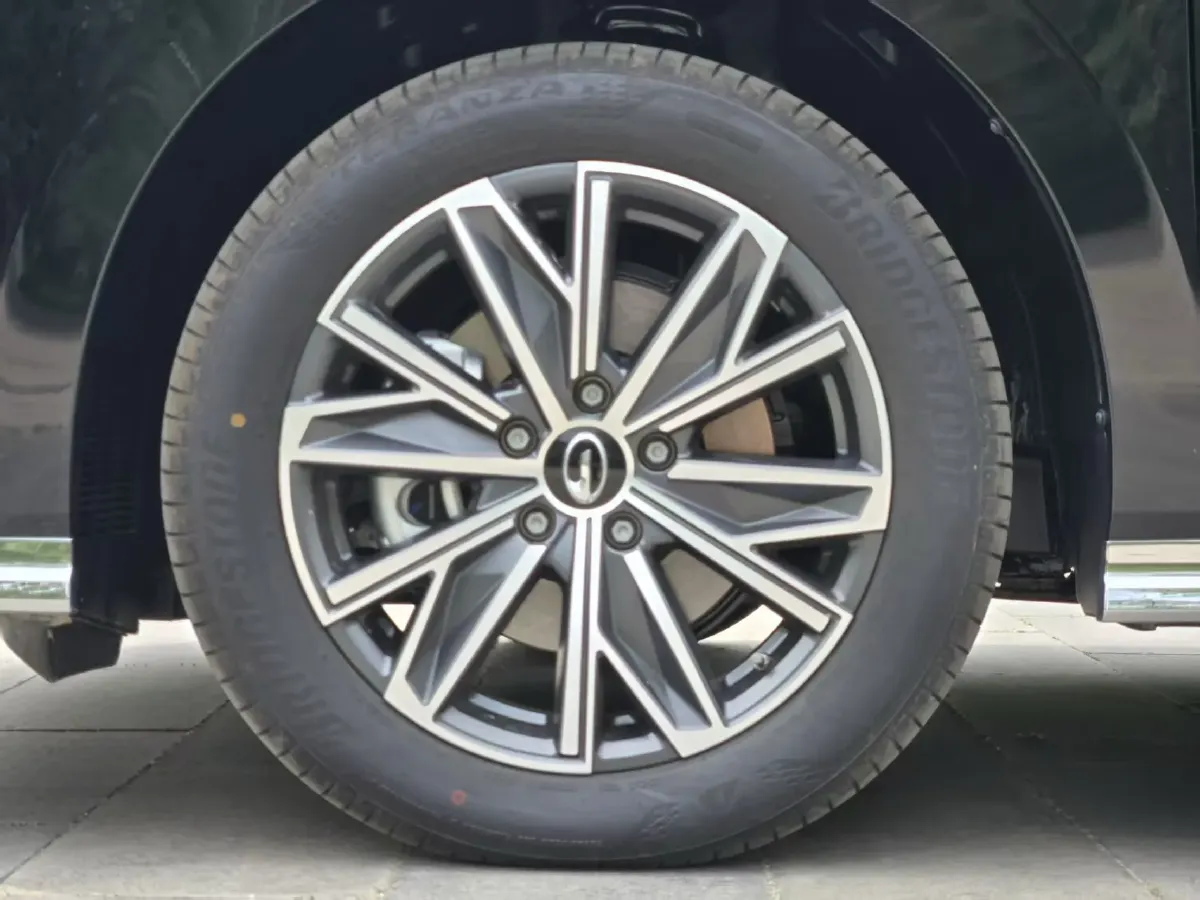 2024 GAC Trumpchi M8 2.0T 252HP L4 8AT,autocango,china used car exporter,china ev exporter,chinese used car exporter,chinese used ev exporter