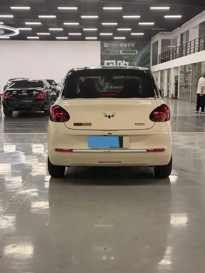 2025 WuLing BinGuo BEV,autocango,china used car exporter,china ev exporter,chinese used car exporter,chinese used ev exporter