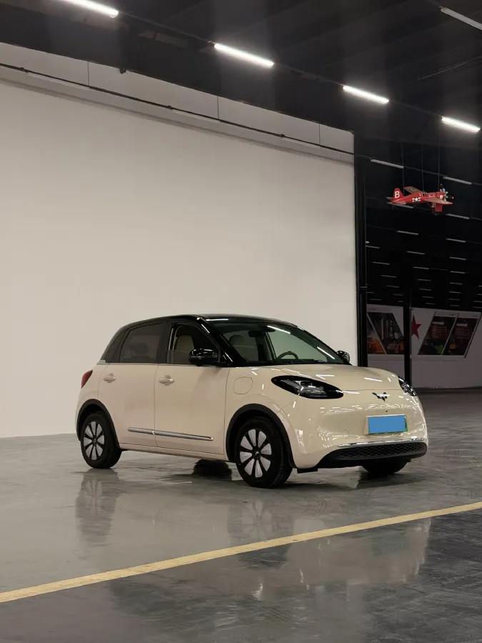 2025 WuLing BinGuo BEV,autocango,china used car exporter,china ev exporter,chinese used car exporter,chinese used ev exporter