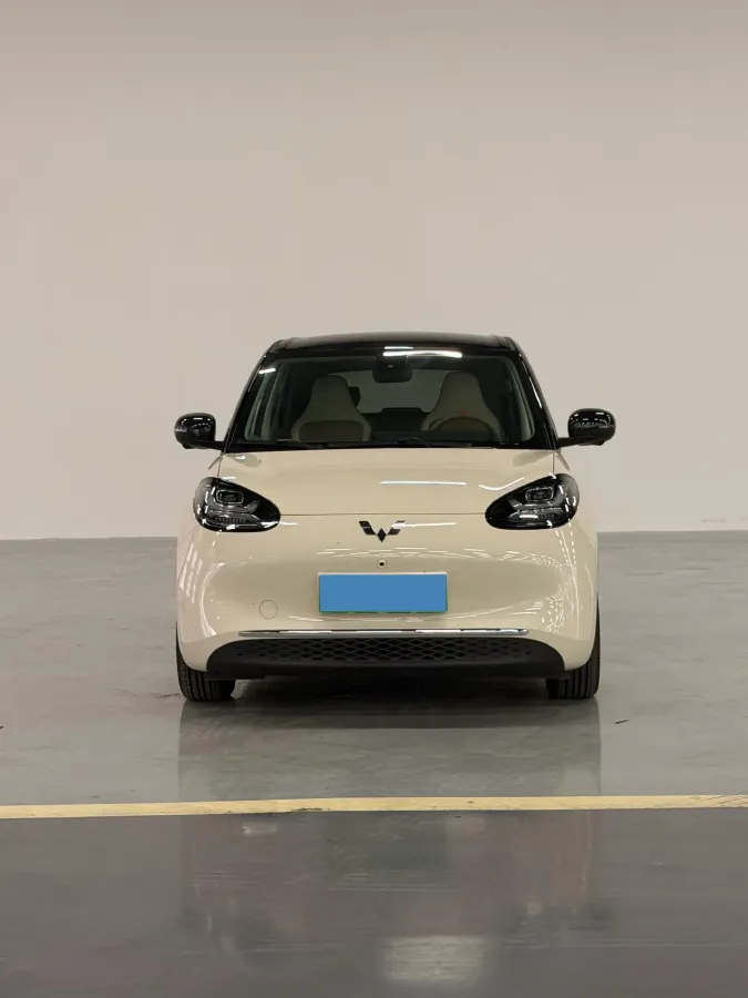 2025 WuLing BinGuo BEV,autocango,china used car exporter,china ev exporter,chinese used car exporter,chinese used ev exporter
