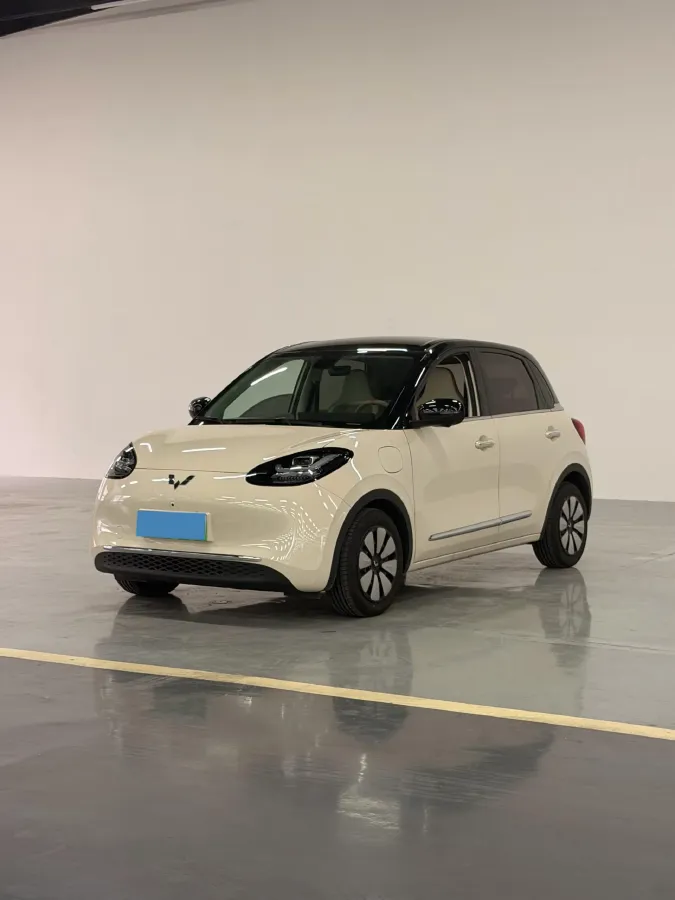 2025 WuLing BinGuo BEV,autocango,china used car exporter,china ev exporter,chinese used car exporter,chinese used ev exporter