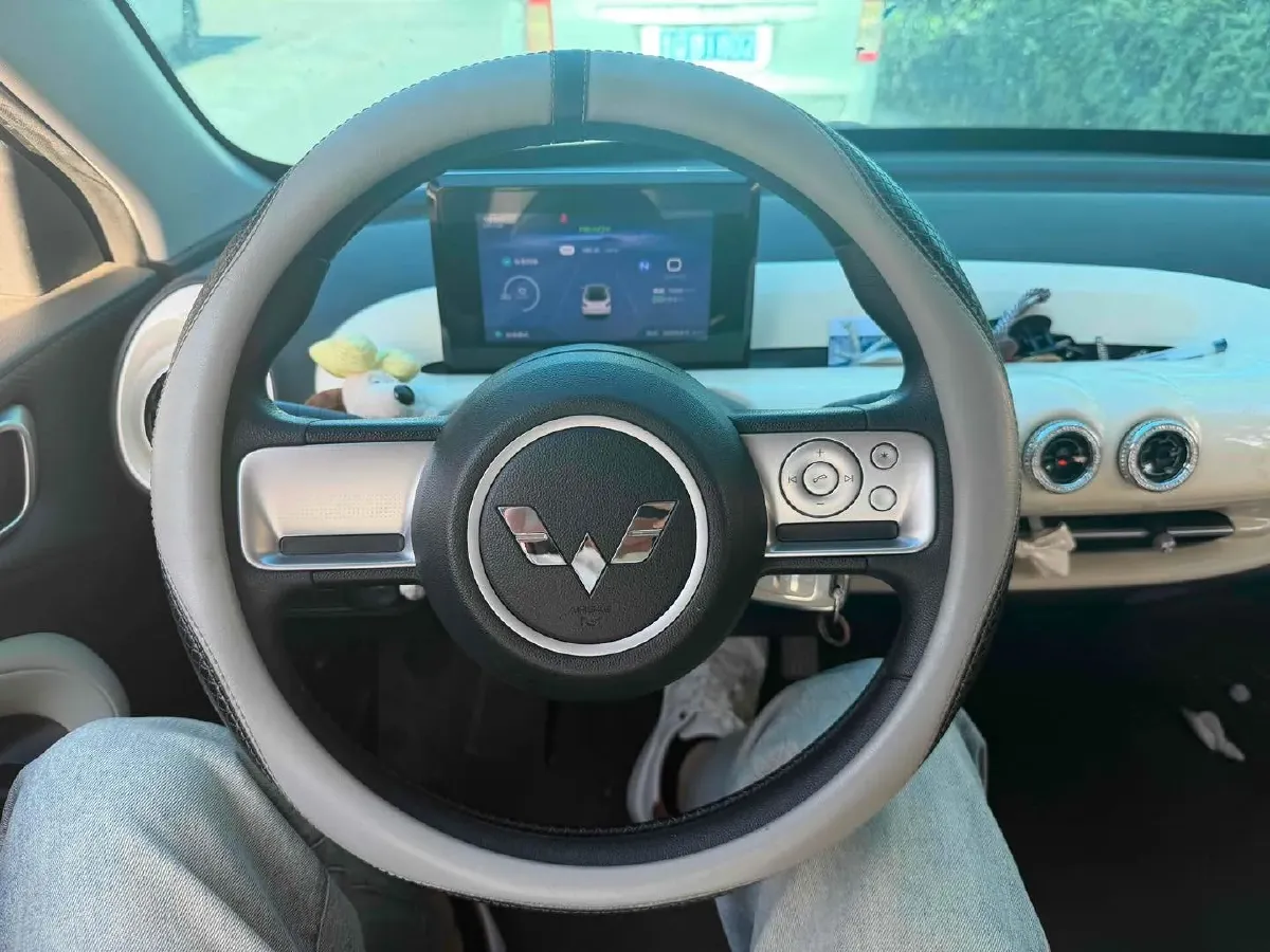 2023 WuLing BinGuo BEV 17.3KWH,autocango,china used car exporter,china ev exporter,chinese used car exporter,chinese used ev exporter