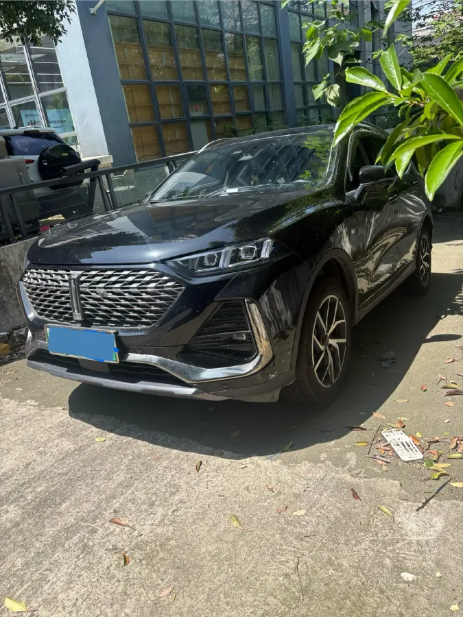 2022 WEY Latte 1.5T 156HP L4 2DHT PHEV 34KWH,autocango,china used car exporter,china ev exporter,chinese used car exporter,chinese used ev exporter