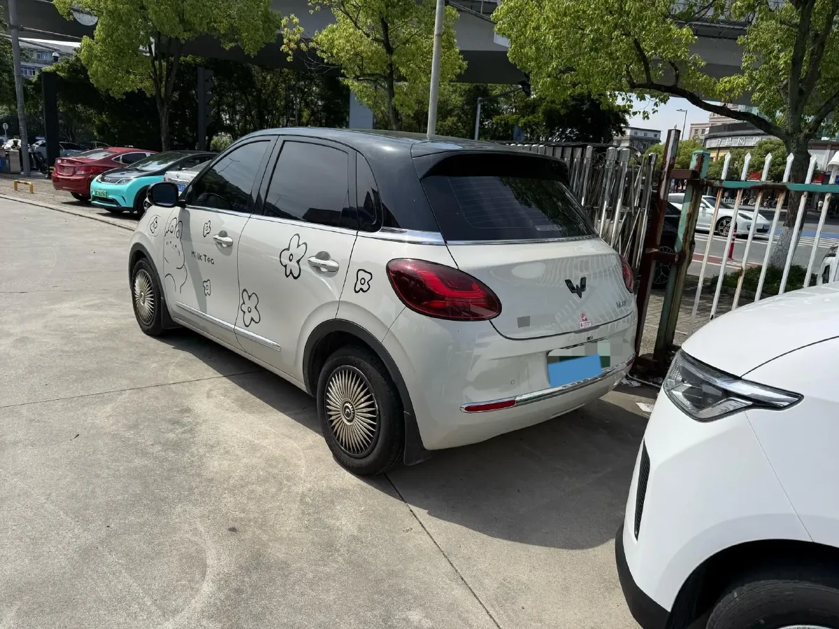 2024 WuLing BinGuo BEV 31.9KWH,autocango,china used car exporter,china ev exporter,chinese used car exporter,chinese used ev exporter