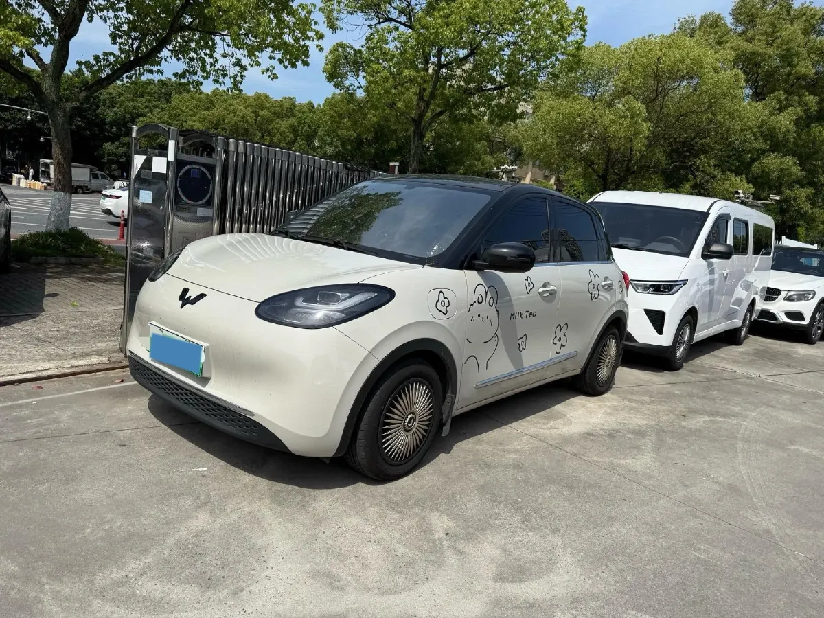2024 WuLing BinGuo BEV 31.9KWH,autocango,china used car exporter,china ev exporter,chinese used car exporter,chinese used ev exporter