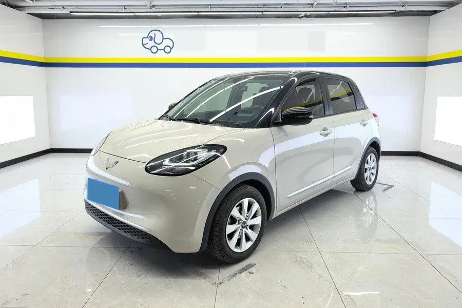 2023 WuLing BinGuo BEV 17.3KWH,autocango,china used car exporter,china ev exporter,chinese used car exporter,chinese used ev exporter