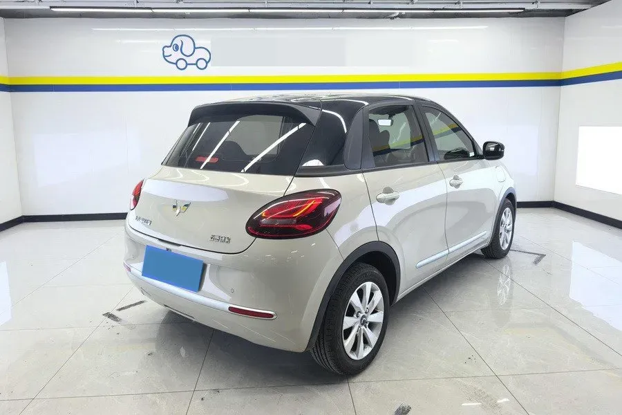 2023 WuLing BinGuo BEV 17.3KWH,autocango,china used car exporter,china ev exporter,chinese used car exporter,chinese used ev exporter
