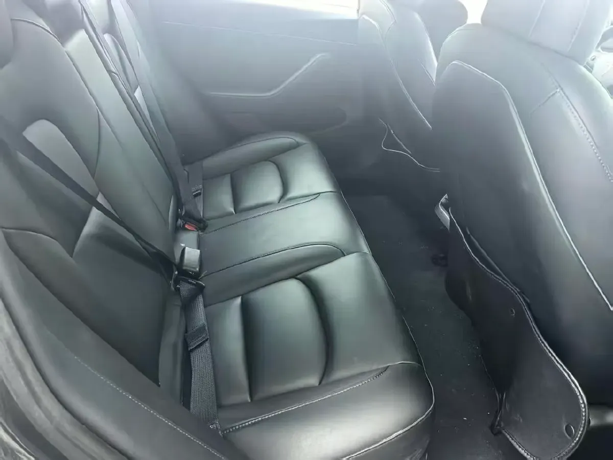 2021 Tesla Model 3 BEV 55KWH,autocango,china used car exporter,china ev exporter,chinese used car exporter,chinese used ev exporter