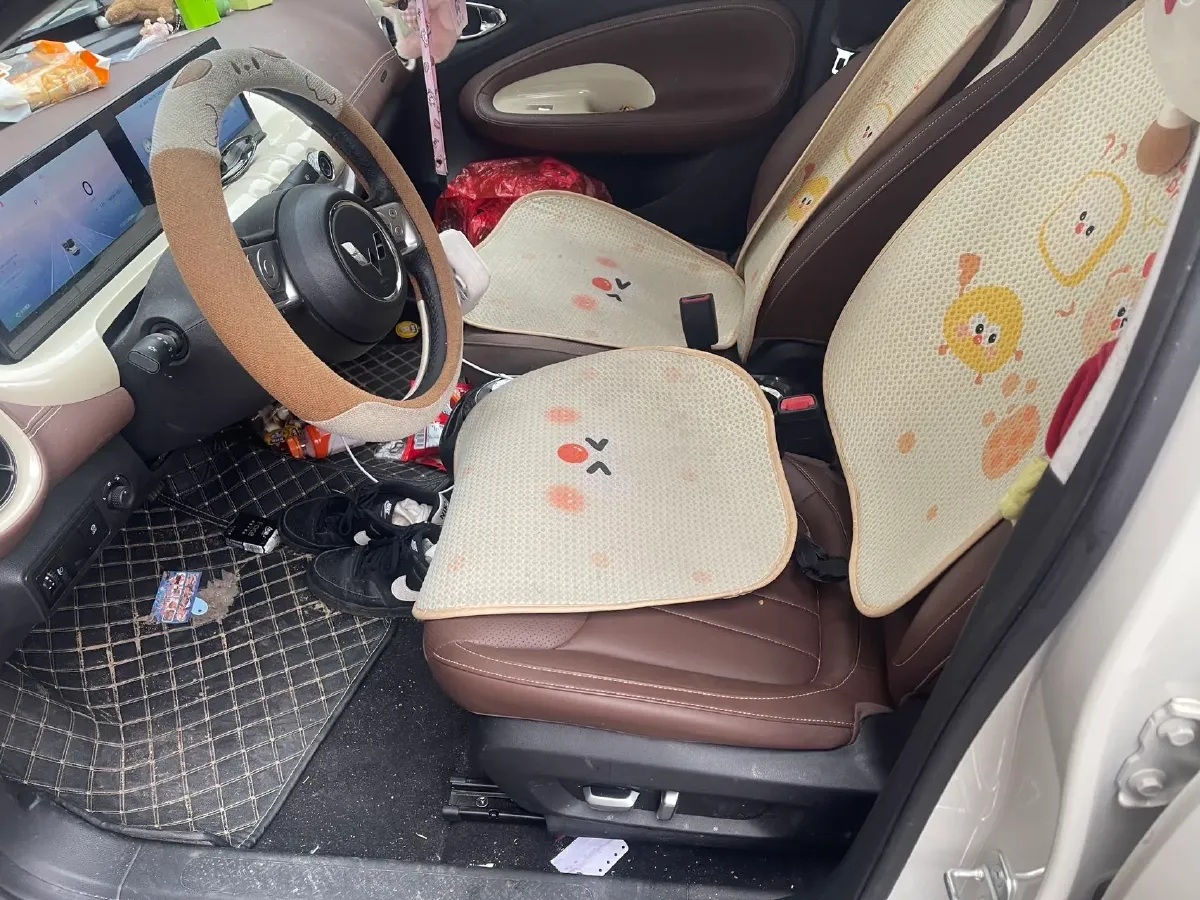 2024 WuLing BinGuo BEV 37.9KWH,autocango,china used car exporter,china ev exporter,chinese used car exporter,chinese used ev exporter