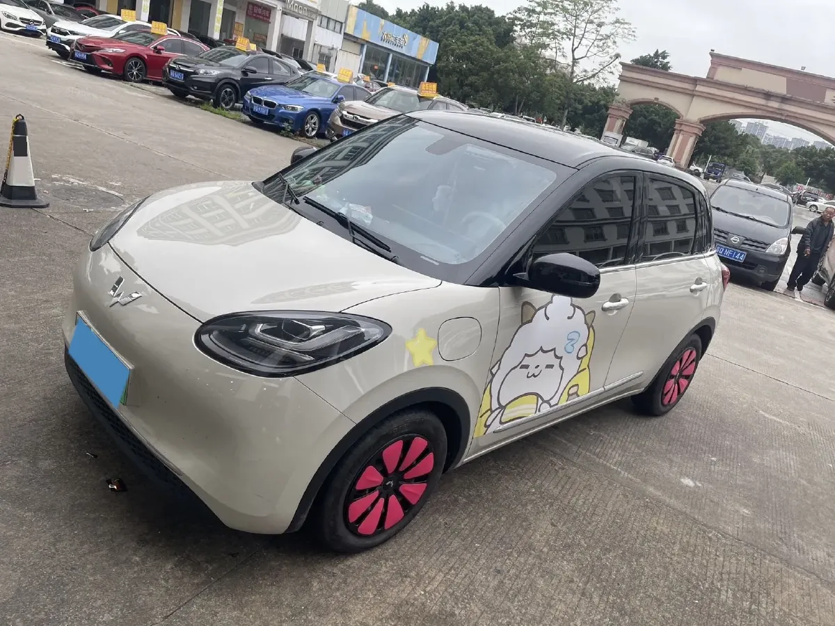 2024 WuLing BinGuo BEV 37.9KWH,autocango,china used car exporter,china ev exporter,chinese used car exporter,chinese used ev exporter