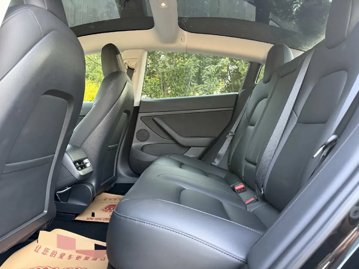 2021 Tesla Model 3 BEV 55KWH,autocango,china used car exporter,china ev exporter,chinese used car exporter,chinese used ev exporter