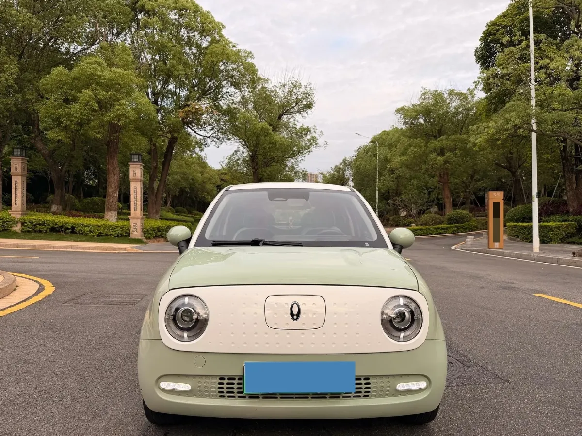 2022 DaYun YueHu BEV 30.66KWH,autocango,china used car exporter,china ev exporter,chinese used car exporter,chinese used ev exporter