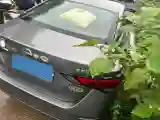 2022 Nissan Sylphy 1.6L 135HP L4 CVT