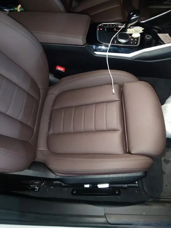 2020 BMW 3 Series 2.0T 156HP L4 8AT,autocango,china used car exporter,china ev exporter,chinese used car exporter,chinese used ev exporter