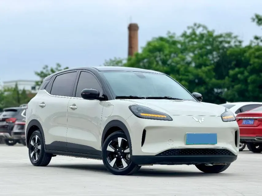 2024 WuLing BinGuoPLUS BEV 37.9KWH,autocango,china used car exporter,china ev exporter,chinese used car exporter,chinese used ev exporter