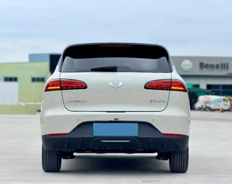2024 WuLing BinGuoPLUS BEV 37.9KWH,autocango,china used car exporter,china ev exporter,chinese used car exporter,chinese used ev exporter