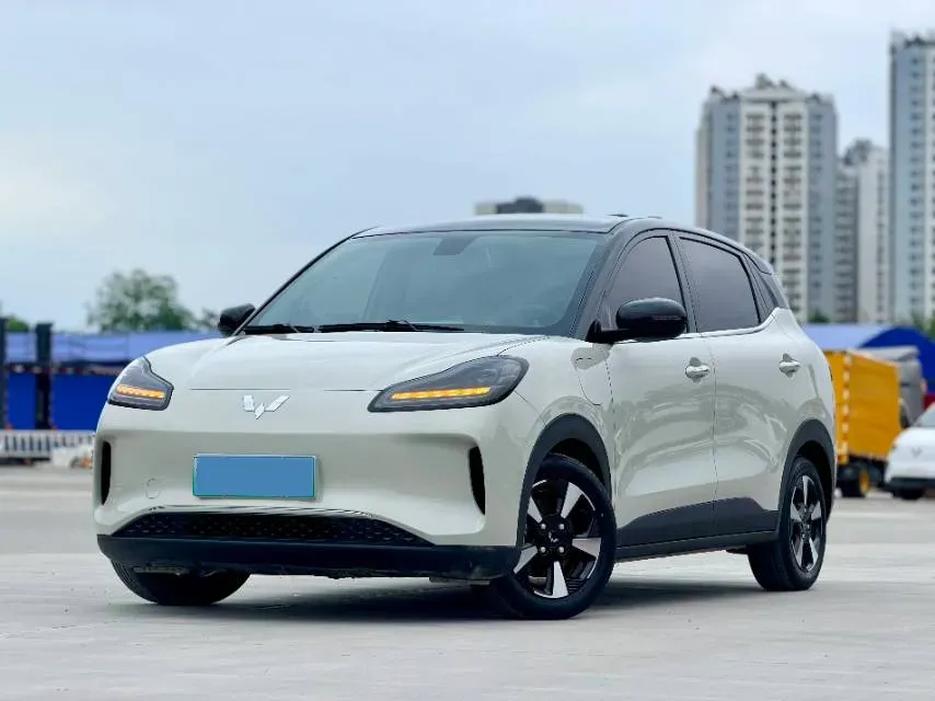 2024 WuLing BinGuoPLUS BEV 37.9KWH,autocango,china used car exporter,china ev exporter,chinese used car exporter,chinese used ev exporter
