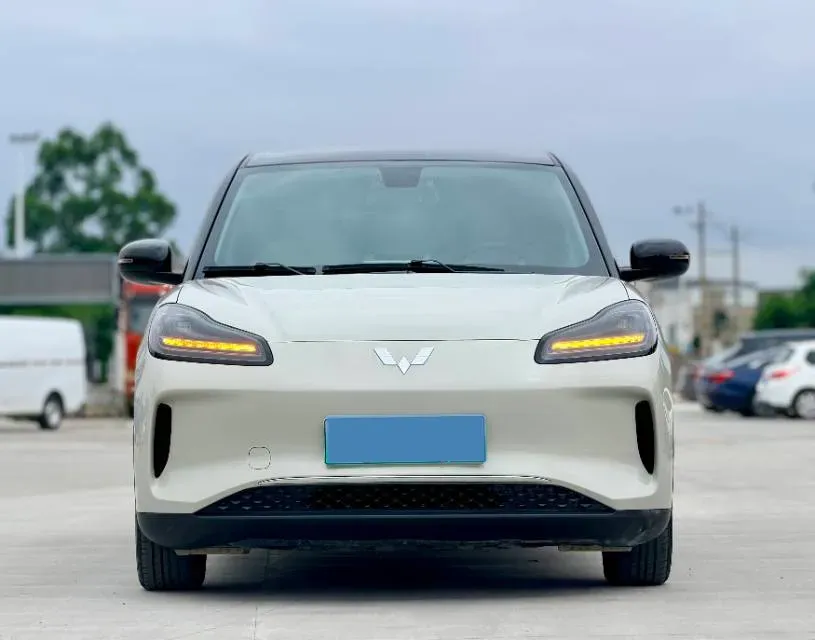 2024 WuLing BinGuoPLUS BEV 37.9KWH,autocango,china used car exporter,china ev exporter,chinese used car exporter,chinese used ev exporter
